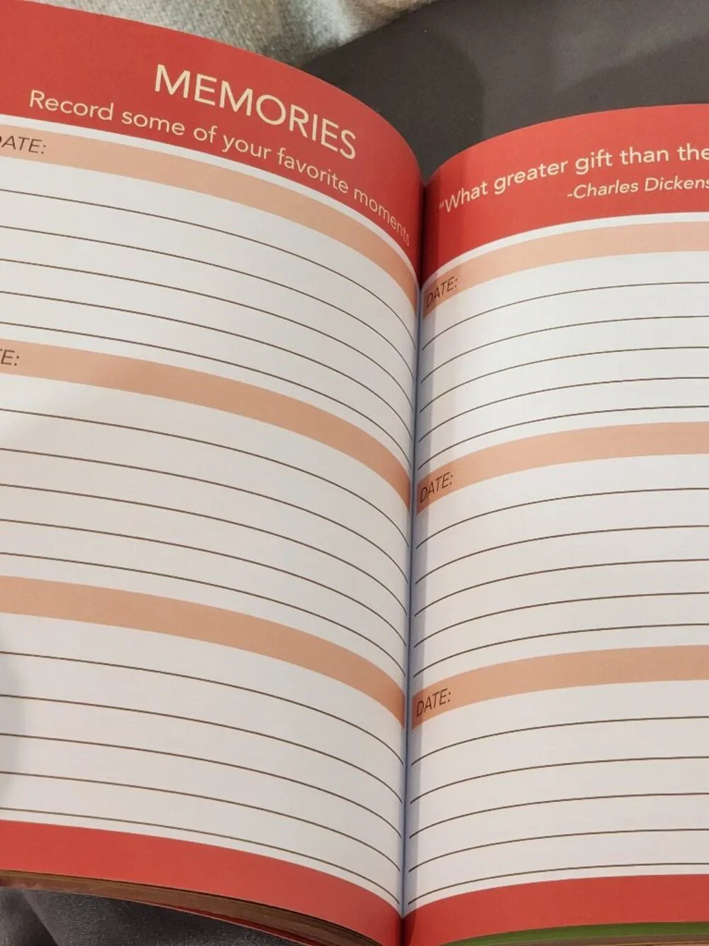 Molly & Rex A Guided Journal for You and Your Cat 208pg Softcover Daily Journal